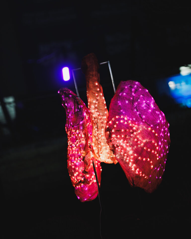 Illuminate Fest 2023-262